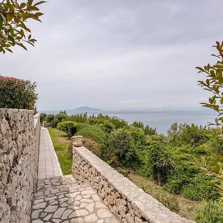 Dalessandro Anacapri (Isola di Capri)